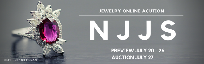 NJJS 2021