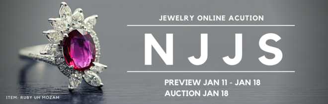 NJJS 2021